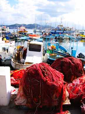 FishingNets-050505