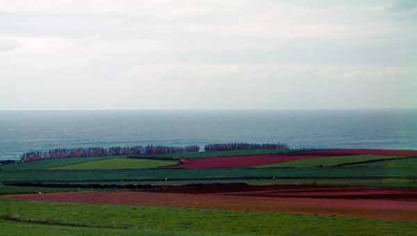 Fields&Sea-041805-920a