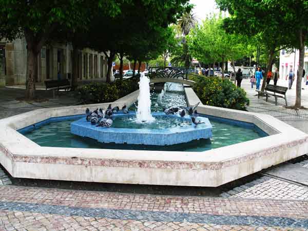 PigeonsInFountain-042005-1033a